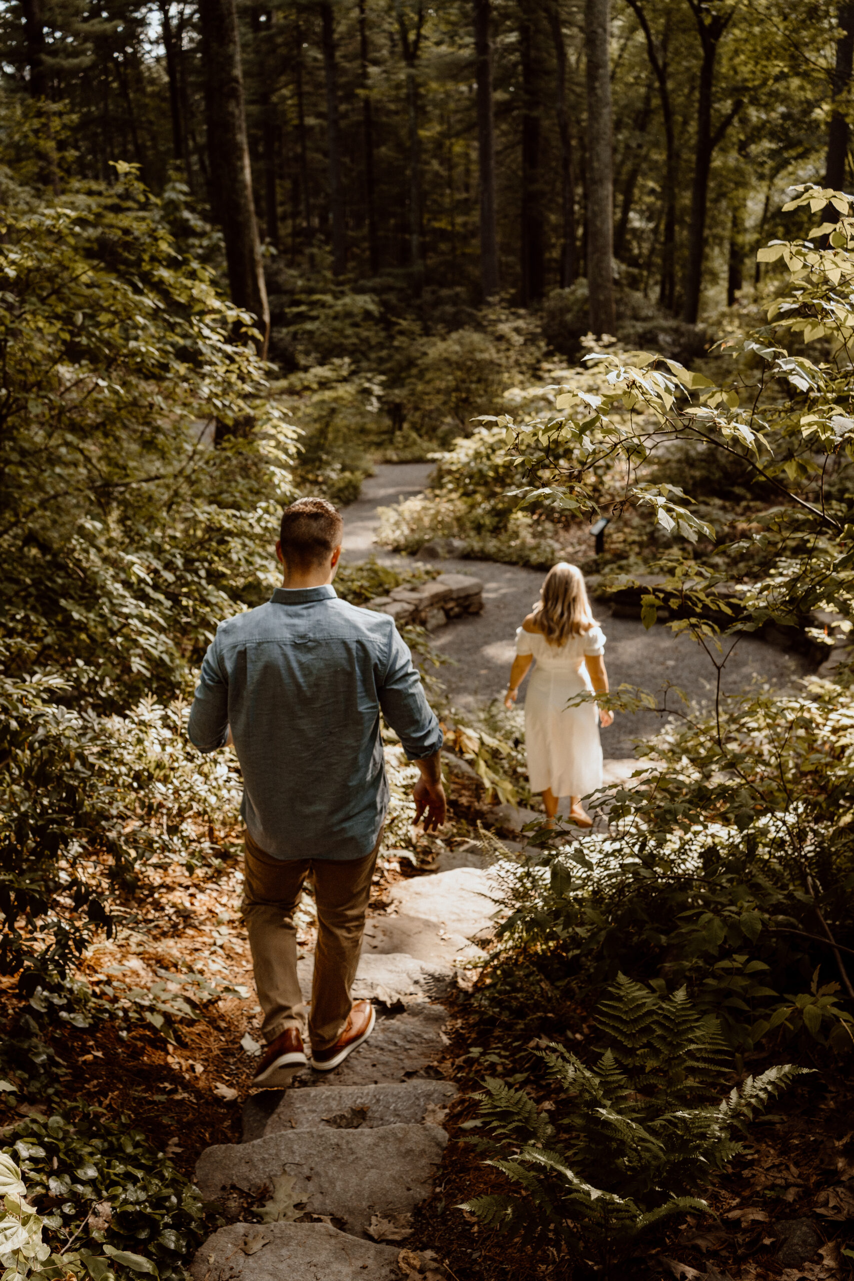 Engaged couple walks down the steps into the picturesque garden at Garden in the Woods, Framingham, MA, capturing the romance and beauty of this enchanting location.
