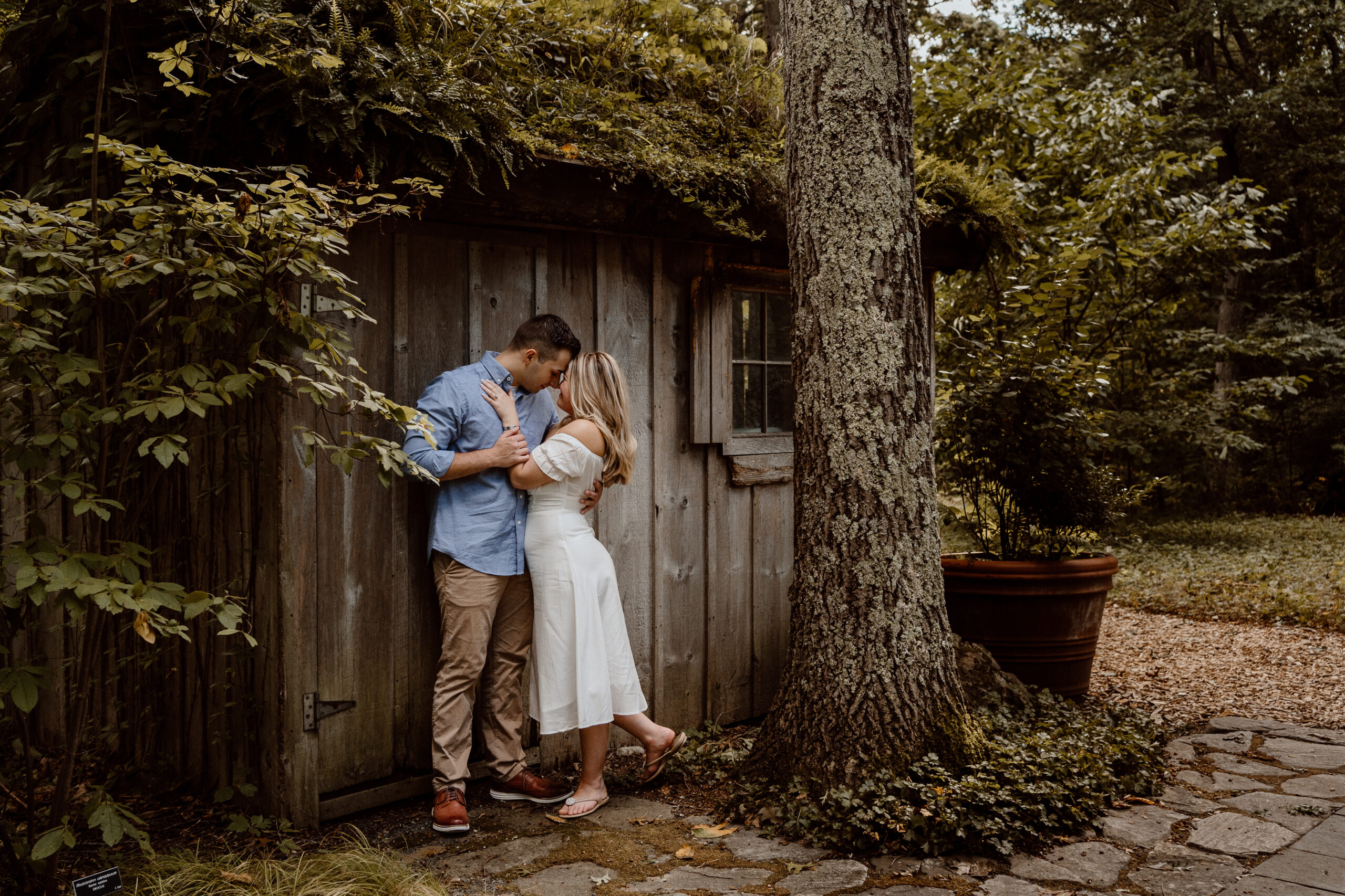 Picturesque engagement session in the natural beauty of Garden in the Woods, Framingham, MA, showcasing the affectionate moments of a couple surrounded by verdant greenery.