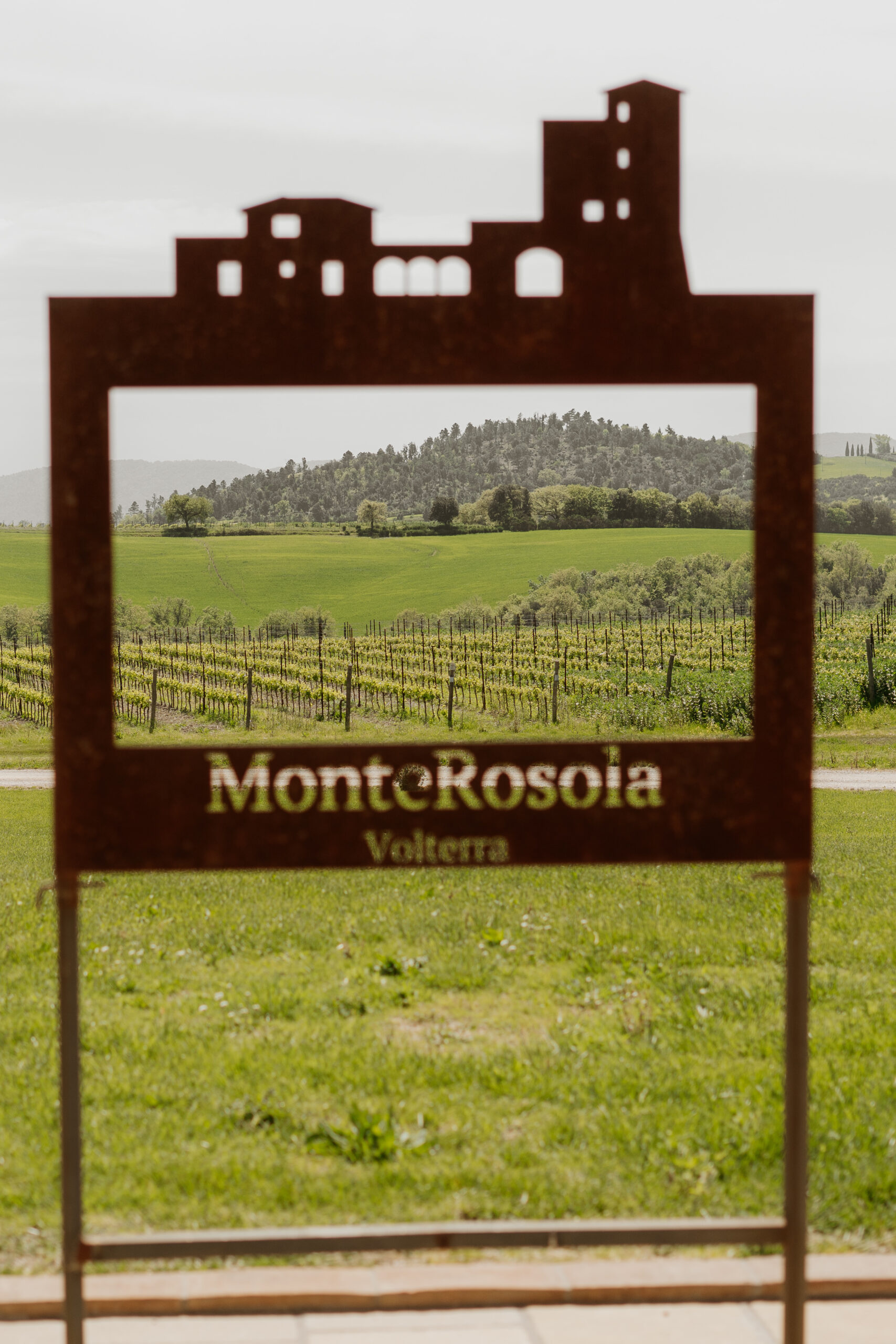 MonteRosola Vineyard sign is framing the rows of grapes and rolling hills in Volterra, Italy