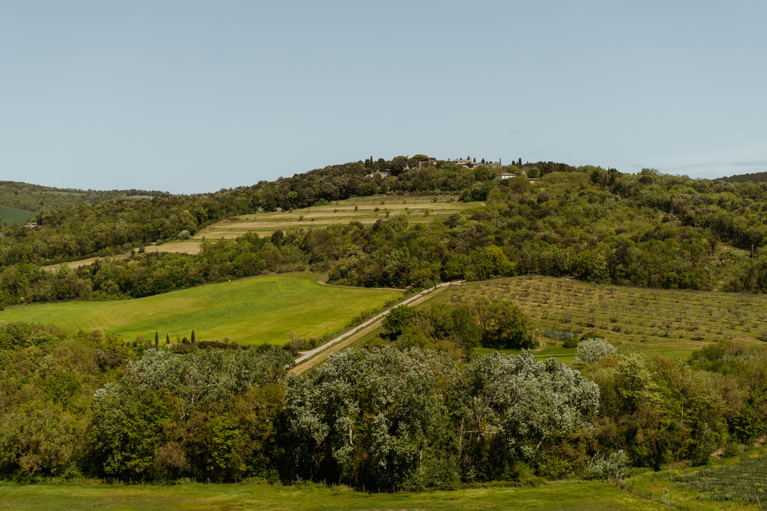 Tuscan rollin hills and vineyard at MonteRosola